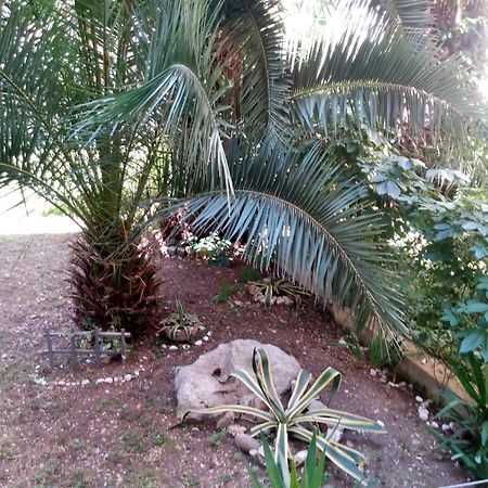 Apartments Crvena Orhideja Split Dış mekan fotoğraf