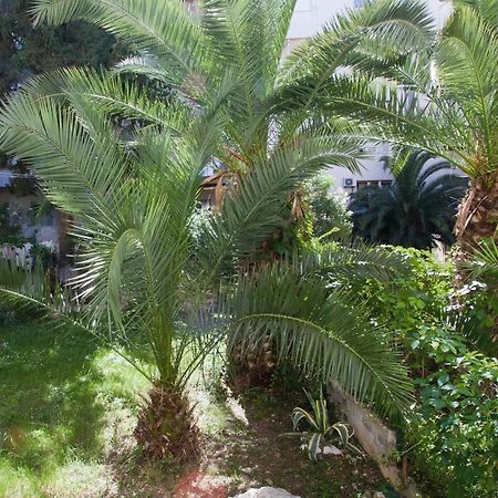 Apartments Crvena Orhideja Split Dış mekan fotoğraf
