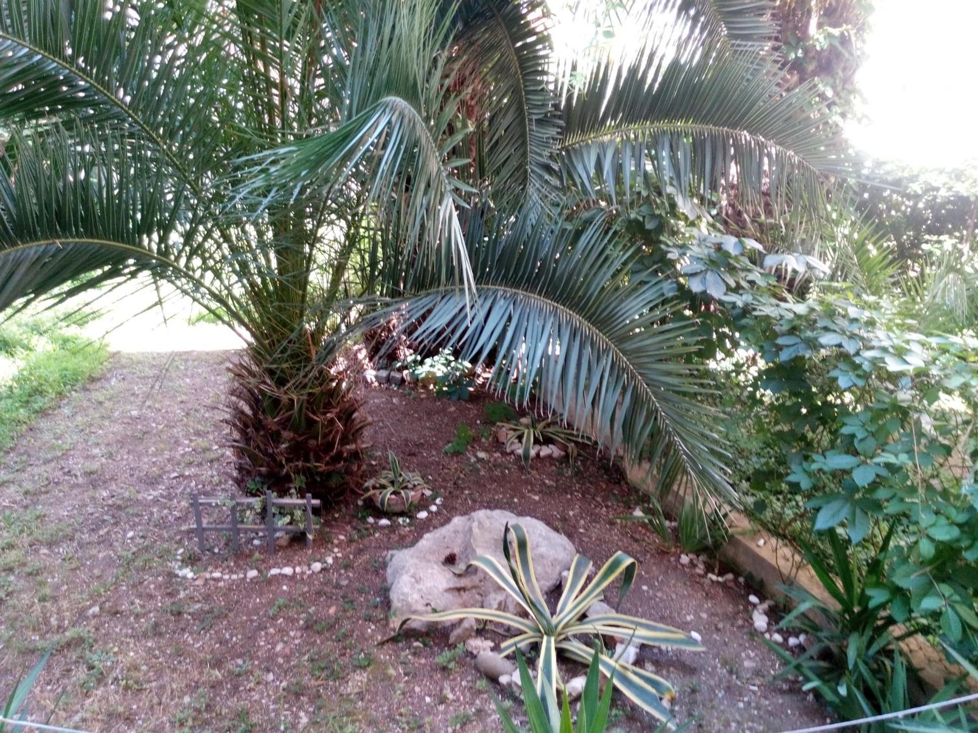 Apartments Crvena Orhideja Split Dış mekan fotoğraf