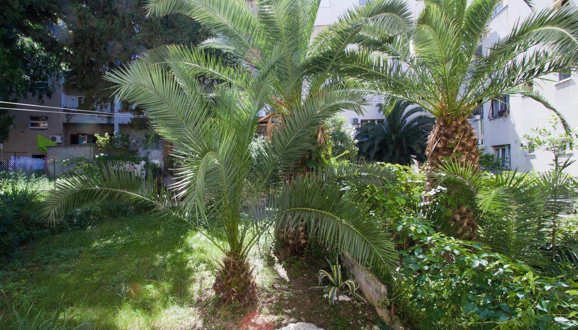 Apartments Crvena Orhideja Split Dış mekan fotoğraf